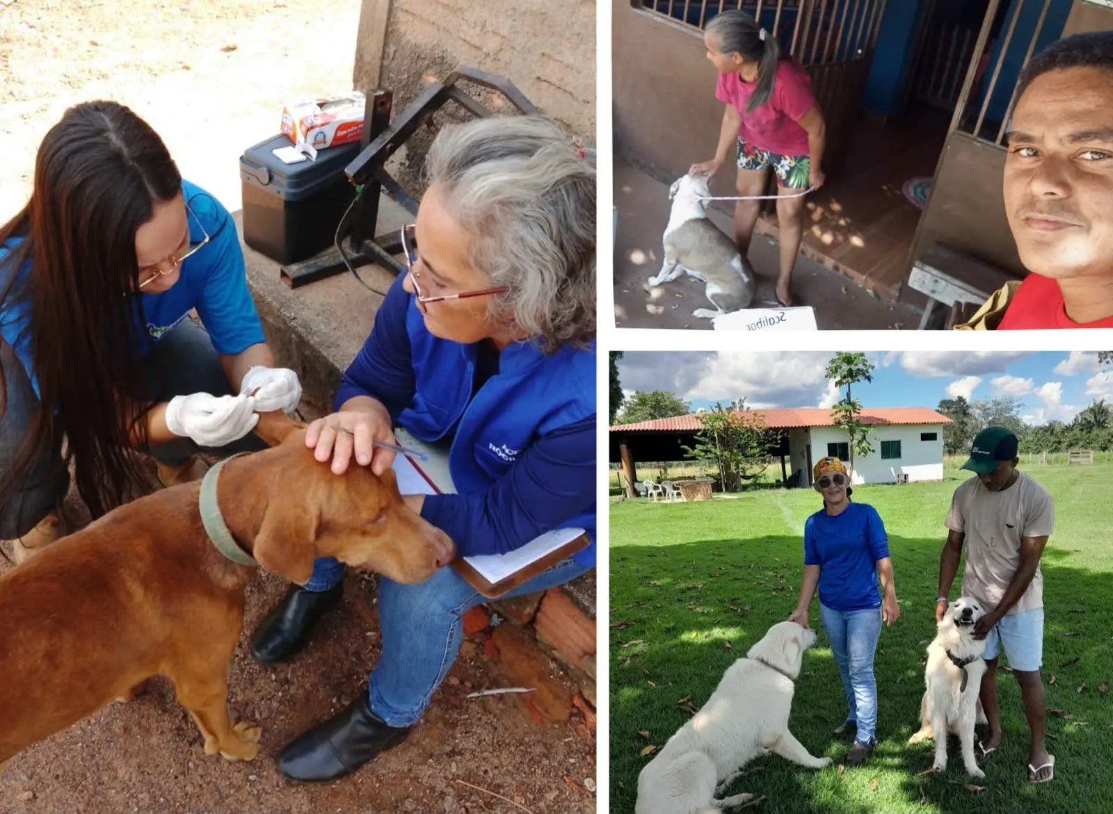 Carmolândia reduz leishmaniose canina em 44% e casos humanos em 70%